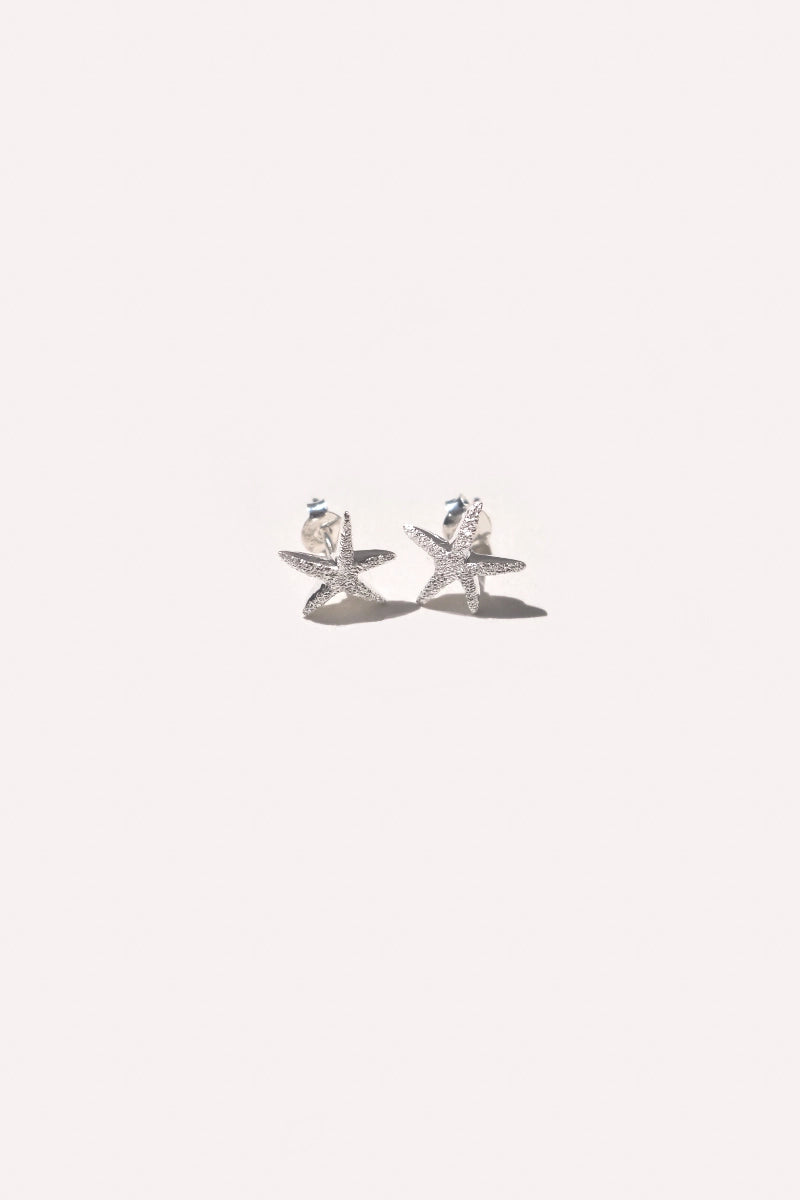 Dust Silver Earrings