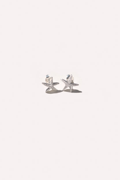 Dust Silver Earrings