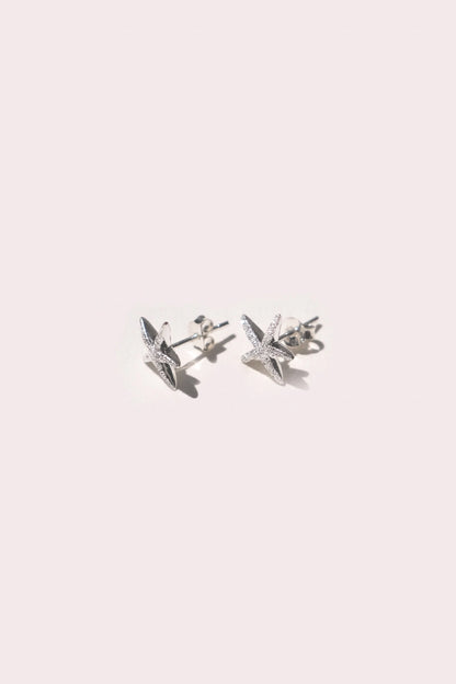 Dust Silver Earrings