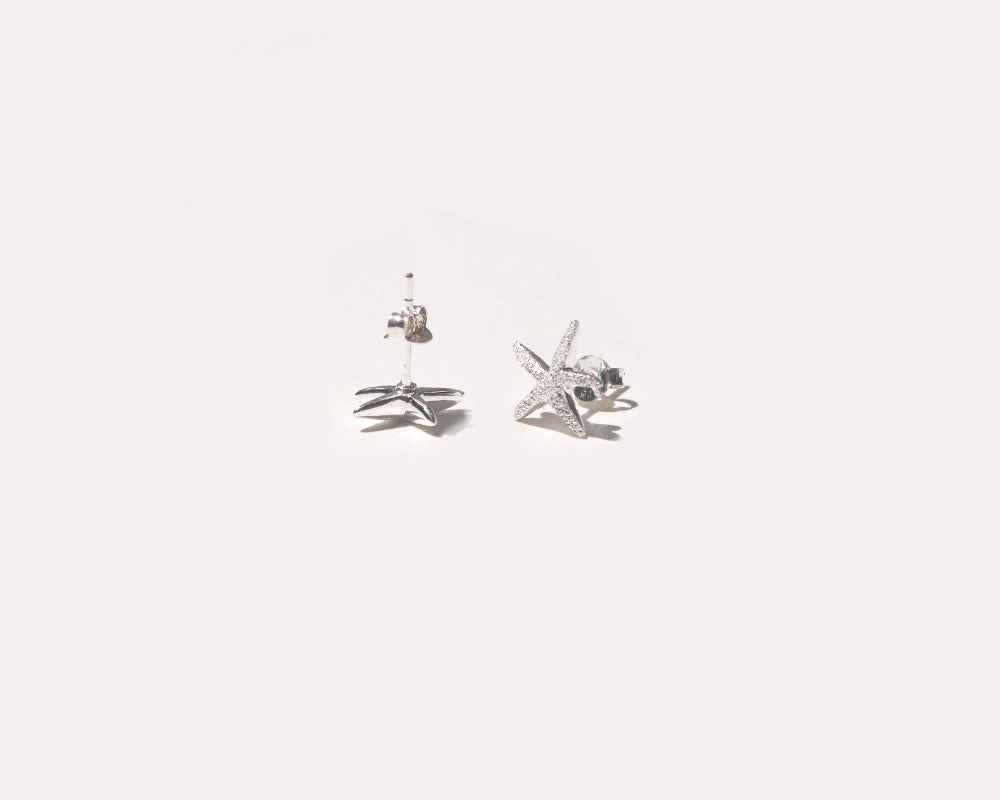 Dust Silver Earrings
