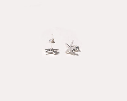 Dust Silver Earrings