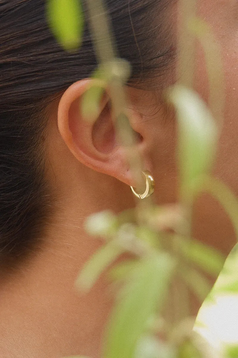 Flat Earrings