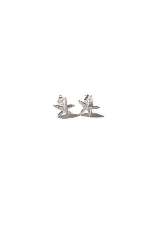 Dust Silver Earrings