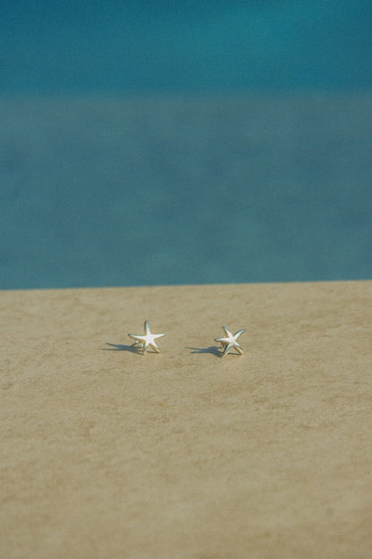 Patrick Silver Earrings